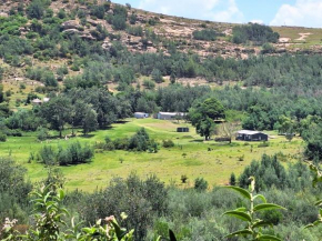 Benlamond Guest Farm